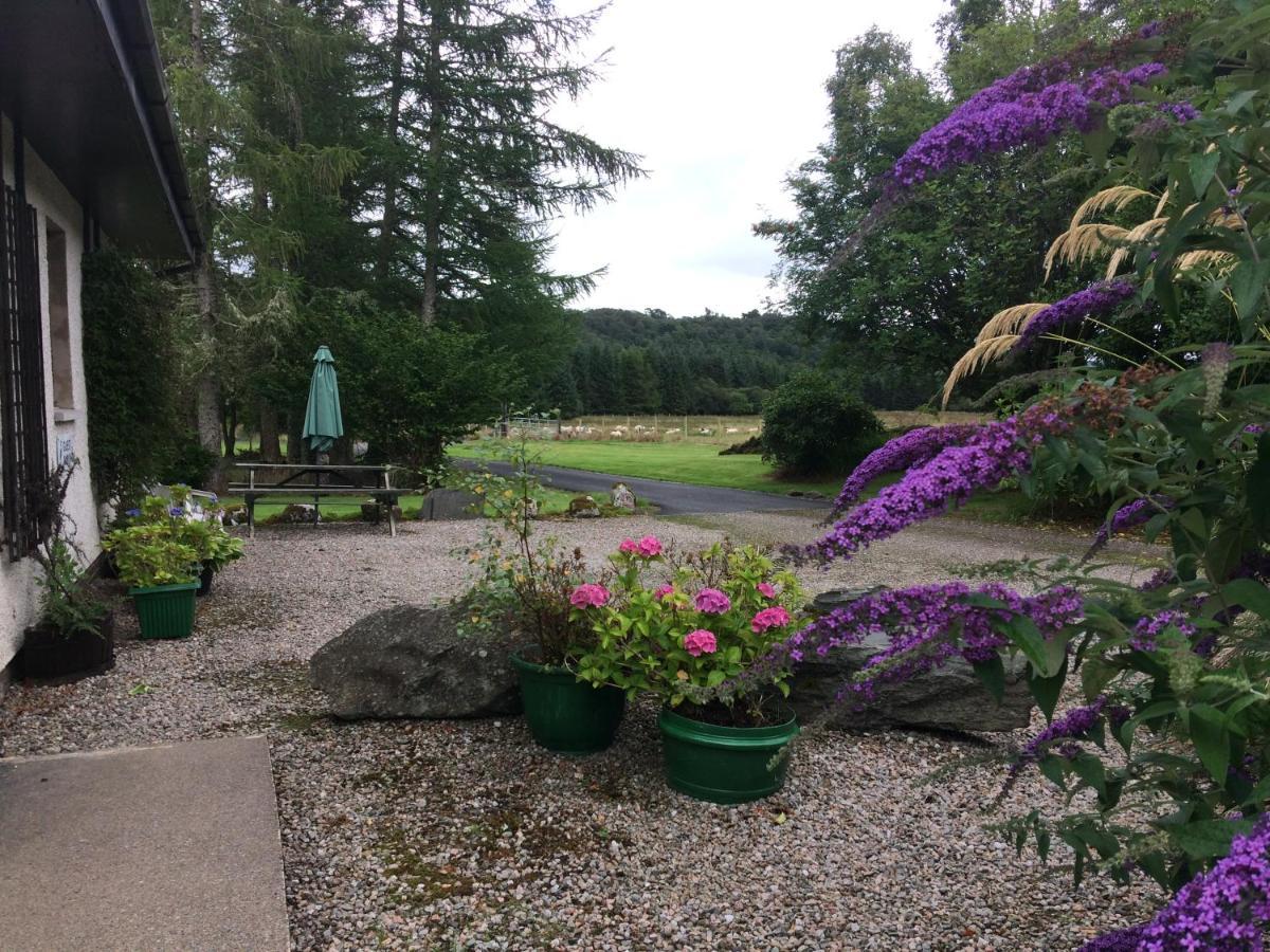 Heronlea Cottage Dunoon Zewnętrze zdjęcie