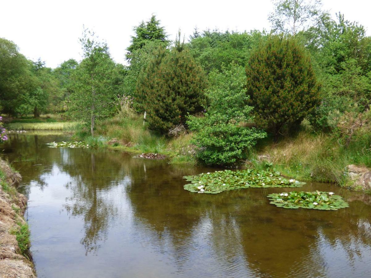 Heronlea Cottage Dunoon Zewnętrze zdjęcie