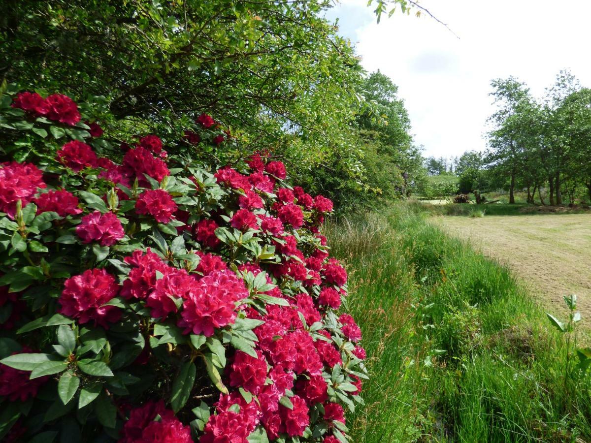 Heronlea Cottage Dunoon Zewnętrze zdjęcie