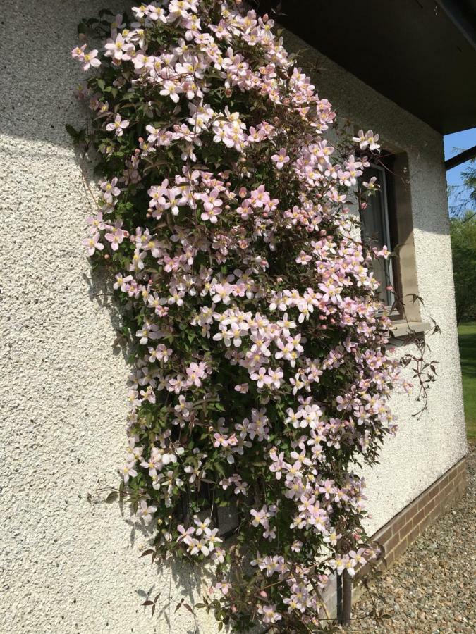 Heronlea Cottage Dunoon Zewnętrze zdjęcie