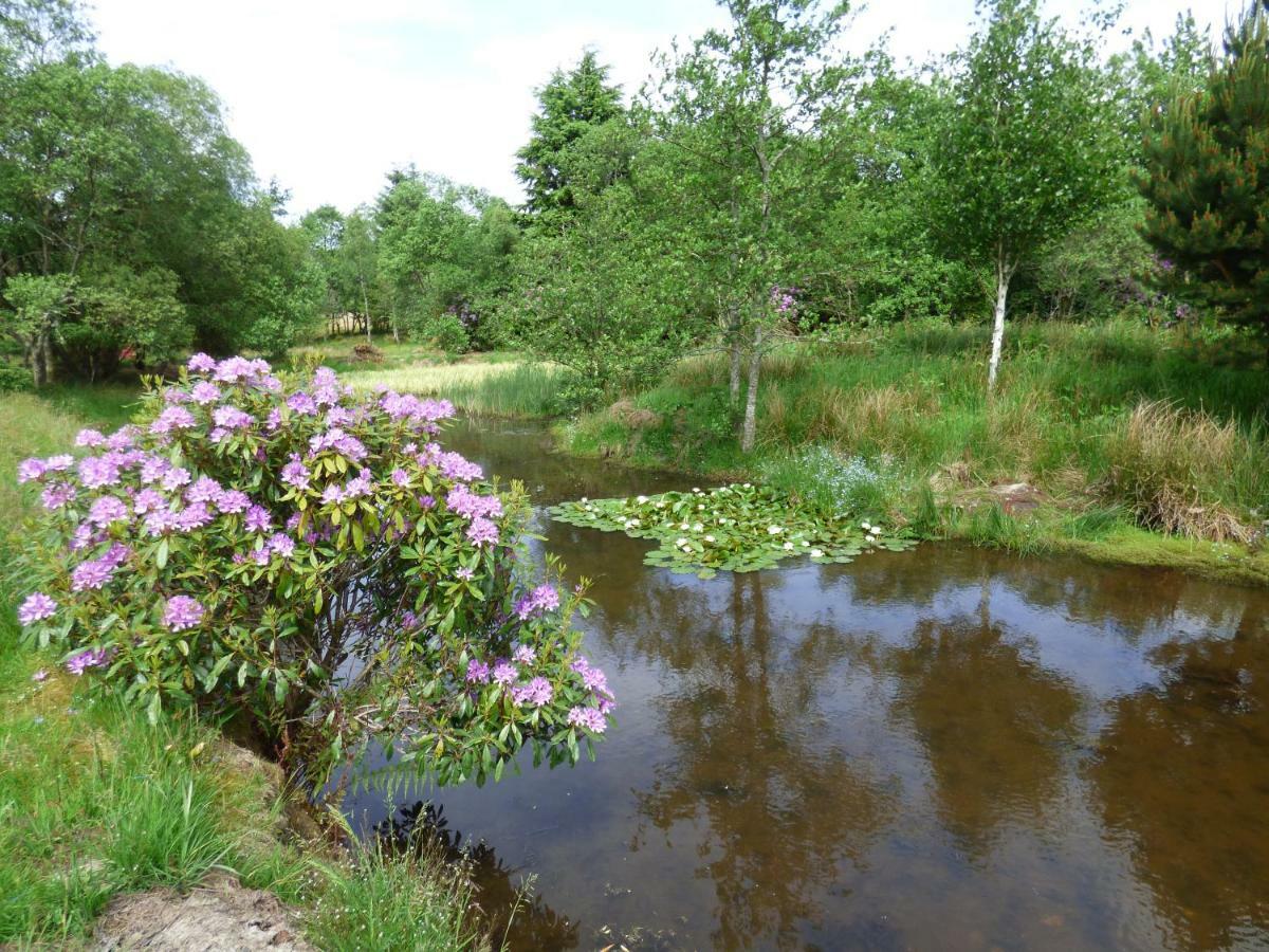 Heronlea Cottage Dunoon Zewnętrze zdjęcie